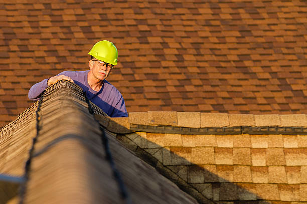 Best Storm Damage Roof Repair  in Rockwood, TN